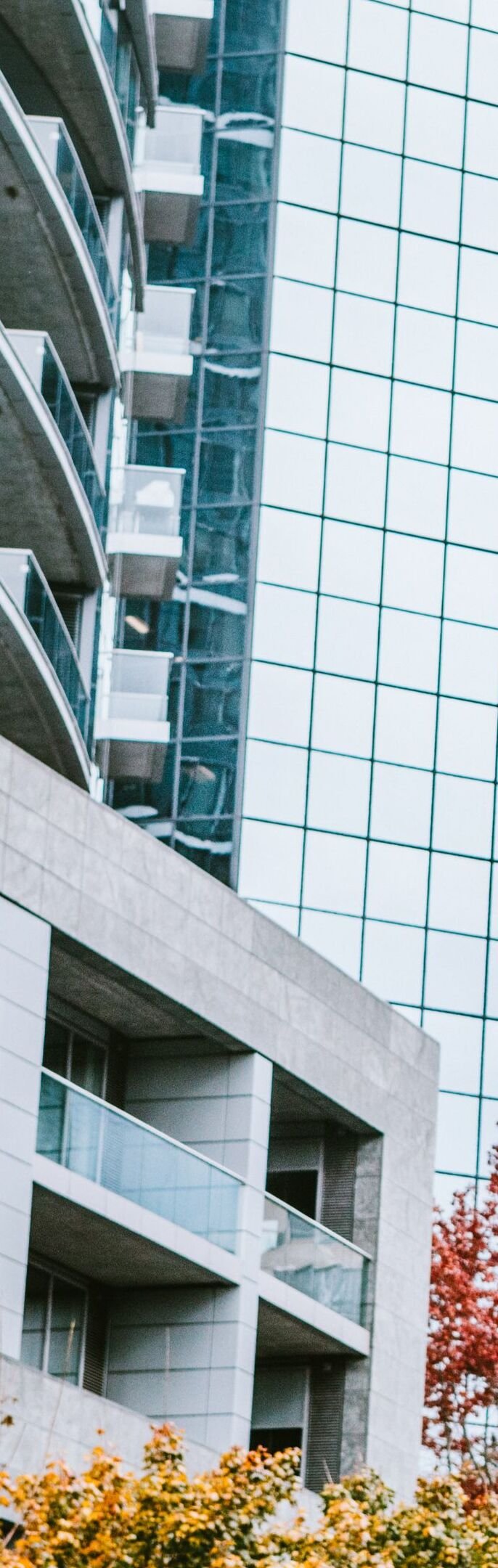 Wilson Management, Inc. property management guarantees