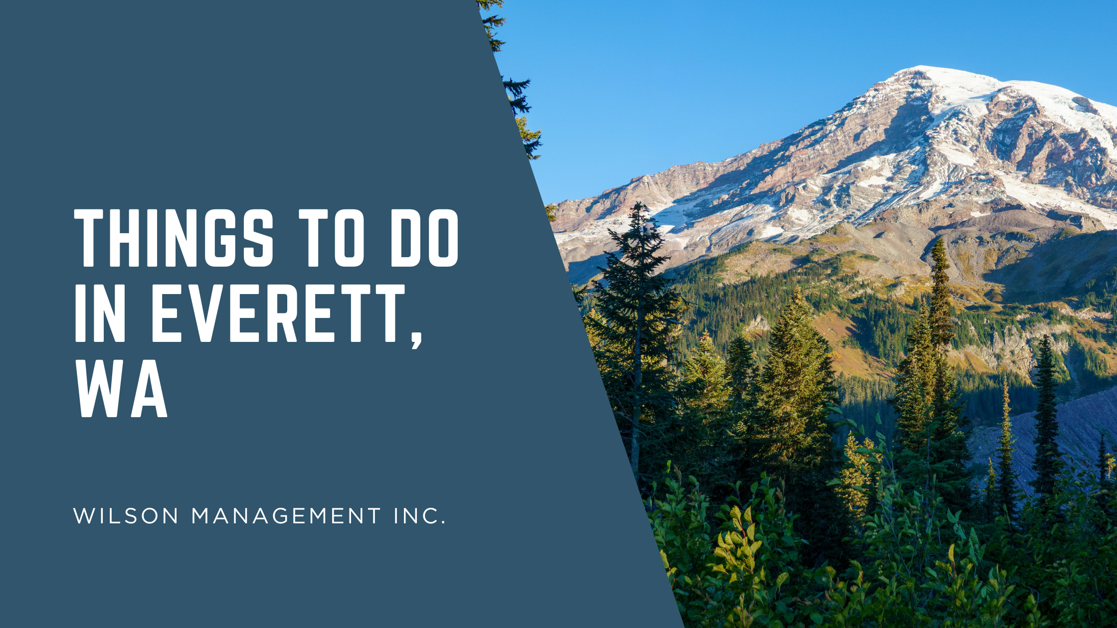 Wilson Management, Inc. property management insights article