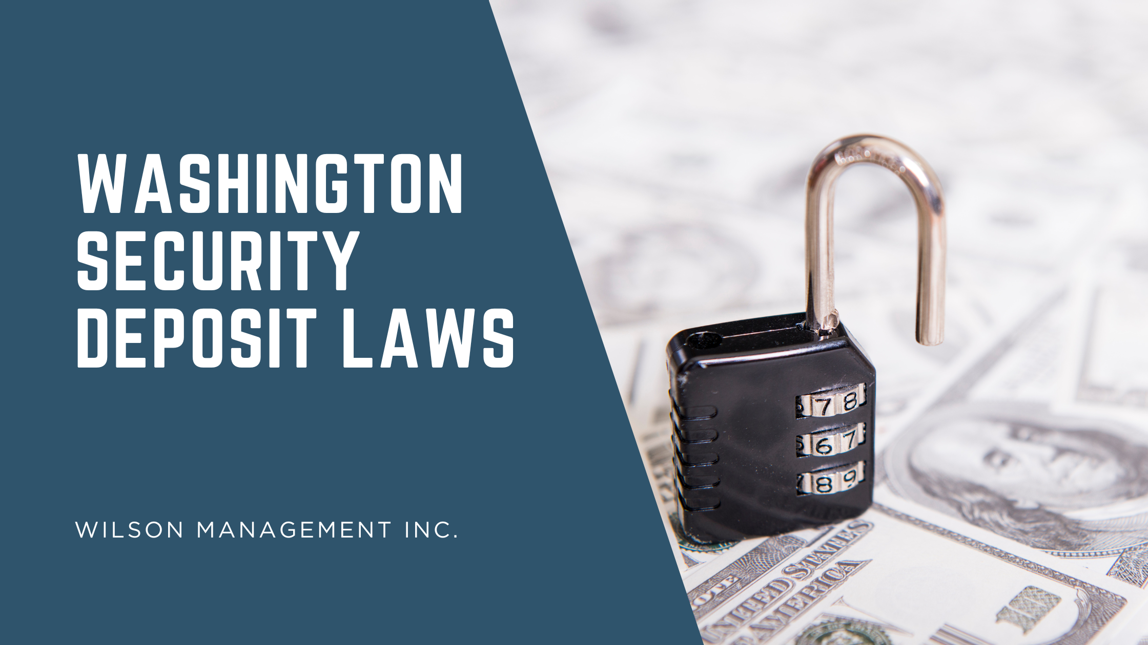 Wilson Management, Inc. property management insights article